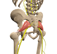Degenerative Disc Disease
