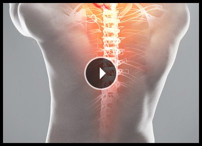 Educational Videos